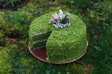 Load image into Gallery viewer, Moss Cake