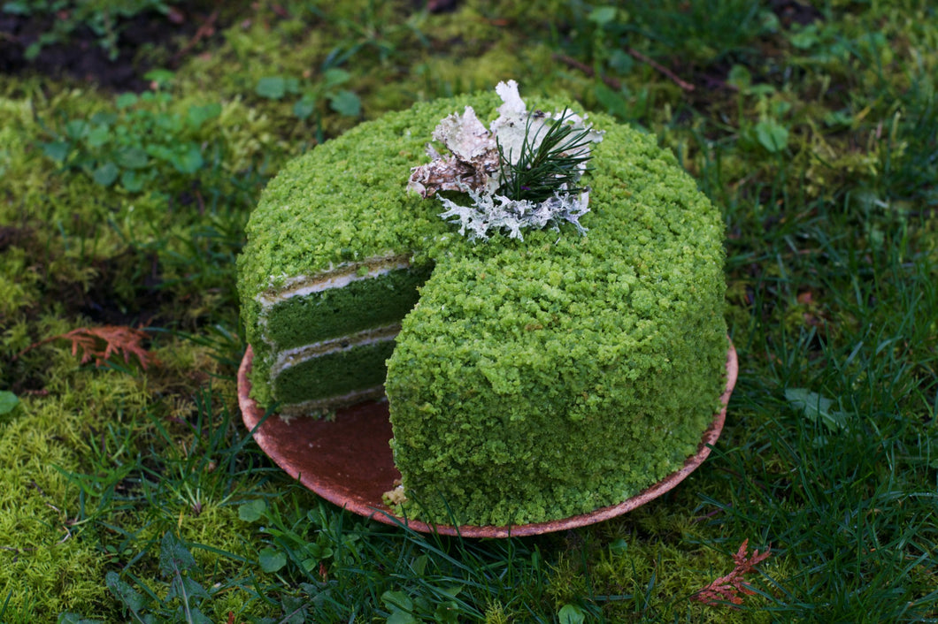 Moss Cake